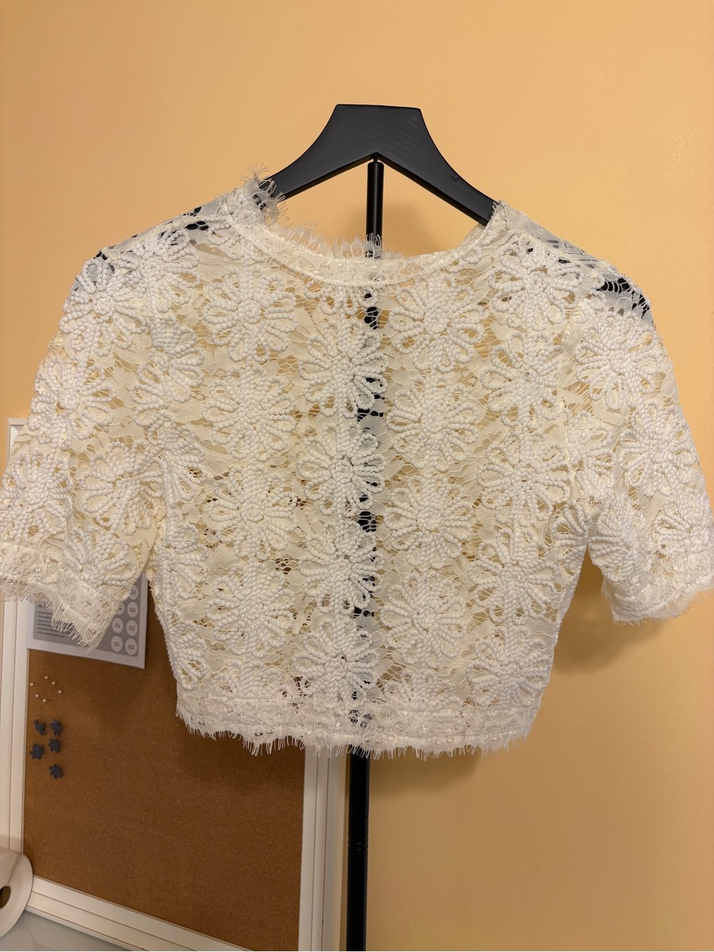 A.Peach Women's Ivory Lace Floral Crop Top